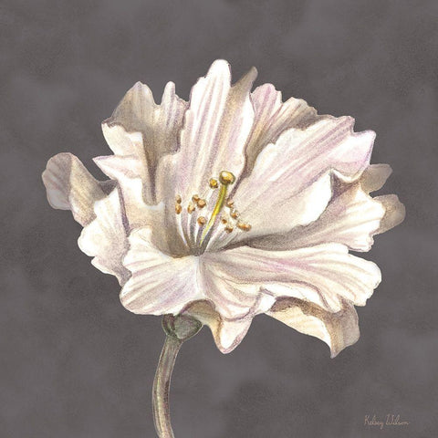 Cream Willow Blossom II White Modern Wood Framed Art Print by Wilson, Kelsey