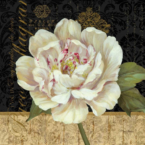 Antique Still Life Peony White Modern Wood Framed Art Print by Gladding, Pamela