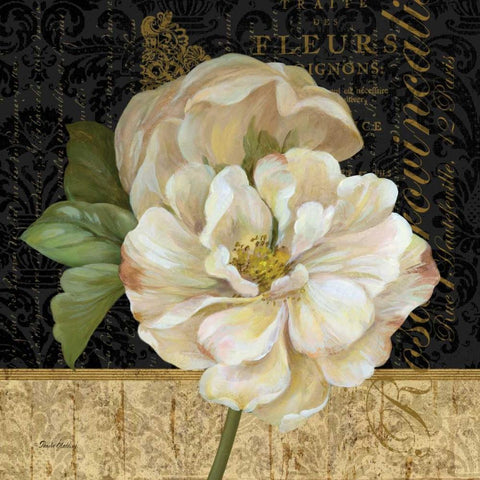 Antique Still Life Rose White Modern Wood Framed Art Print by Gladding, Pamela