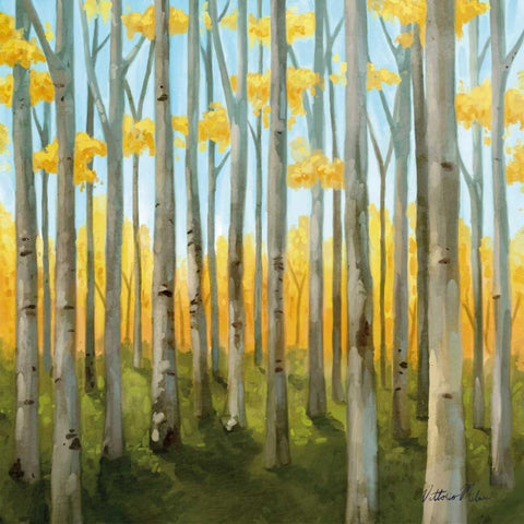 Birch Woods II White Modern Wood Framed Art Print by Milan, Vittorio