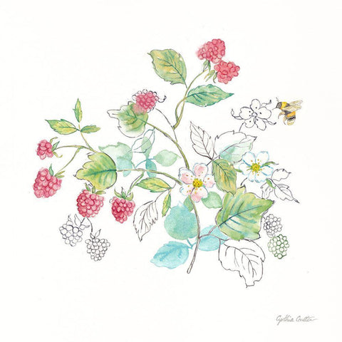 Berries and Bees V White Modern Wood Framed Art Print with Double Matting by Coulter, Cynthia