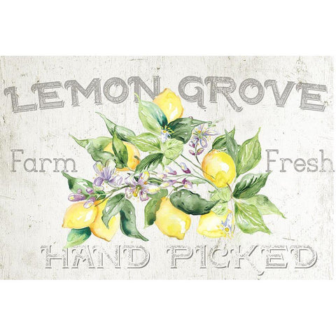 Lemon Grove I White Modern Wood Framed Art Print by Tre Sorelle Studios