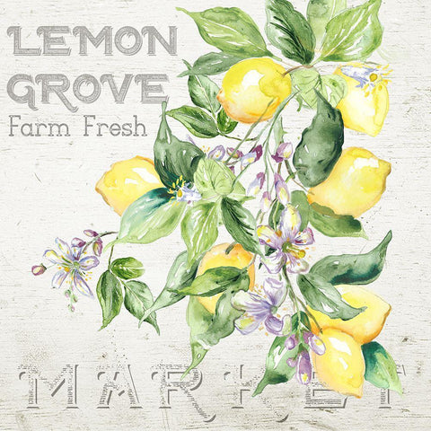 Lemon Grove II Black Modern Wood Framed Art Print with Double Matting by Tre Sorelle Studios