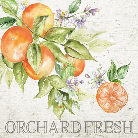 Lemon  Grove IV White Modern Wood Framed Art Print with Double Matting by Tre Sorelle Studios