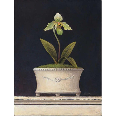 Chartreuse Sugar Orchid Black Modern Wood Framed Art Print by Fisk, Arnie