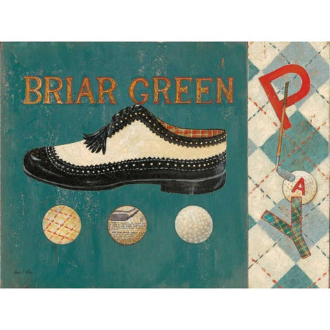 Briar Green Black Modern Wood Framed Art Print with Double Matting by Fisk, Arnie