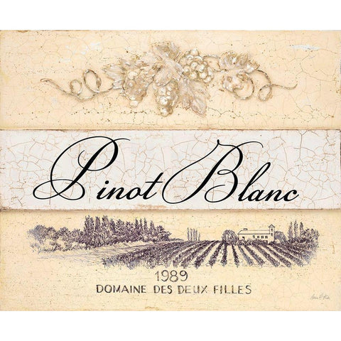Pinot Blanc Cellar Reserve Black Modern Wood Framed Art Print with Double Matting by Fisk, Arnie