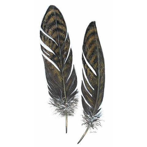 Feather Study 1 Black Modern Wood Framed Art Print with Double Matting by Fisk, Arnie