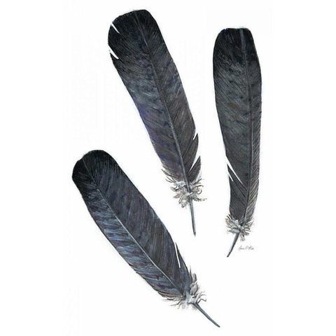 Feather Study 2 Black Modern Wood Framed Art Print with Double Matting by Fisk, Arnie