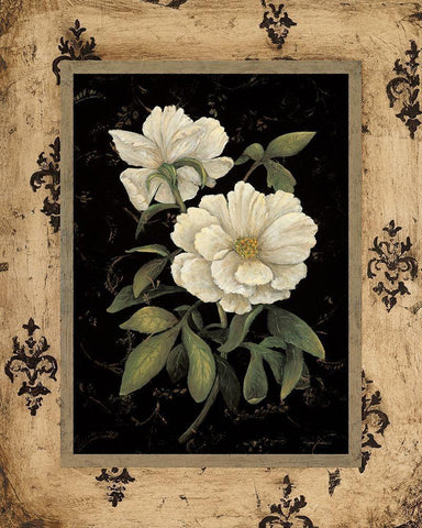 Silver Peony White Modern Wood Framed Art Print with Double Matting by Andrew, Regina