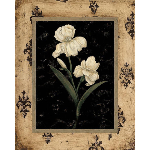 Silver Iris White Modern Wood Framed Art Print by Andrew, Regina