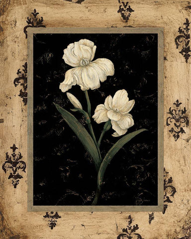 Silver Iris Black Ornate Wood Framed Art Print with Double Matting by Andrew, Regina