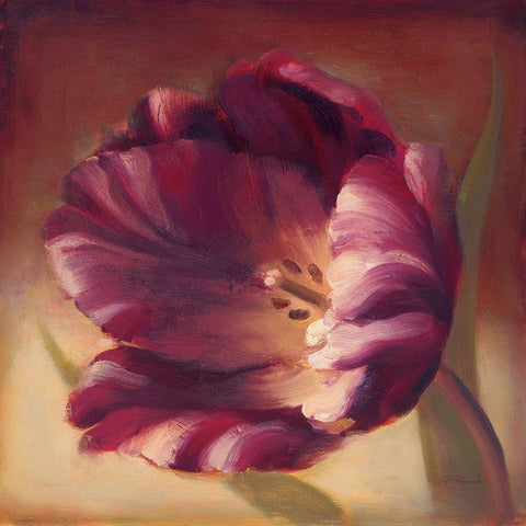 Eventide Tulip White Modern Wood Framed Art Print by Romero, Paulo