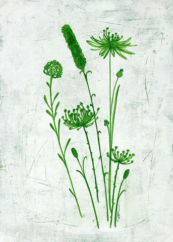 Fresh Greenery Garden White Modern Wood Framed Art Print with Double Matting by Loco, Filippo