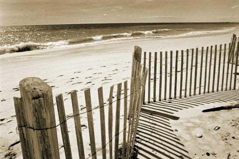 Beach Walk 1 Black Ornate Wood Framed Art Print with Double Matting by Amber Light Gallery