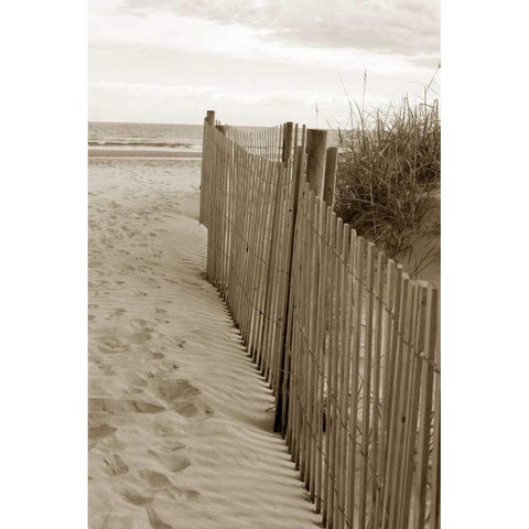 Beach Trail 2 Black Modern Wood Framed Art Print by Amber Light Gallery