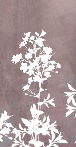 Blossom Branch Panel 2 White Modern Wood Framed Art Print with Double Matting by Roko, Ken