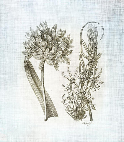 Farmhouse Botanical 1 White Modern Wood Framed Art Print with Double Matting by James, Christopher