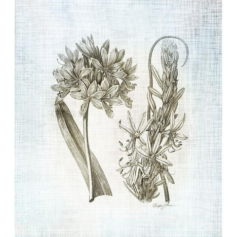 Farmhouse Botanical 1 White Modern Wood Framed Art Print by James, Christopher