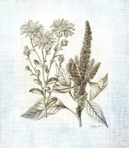 Farmhouse Botanical 2 White Modern Wood Framed Art Print with Double Matting by James, Christopher