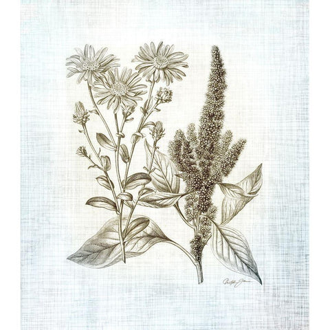Farmhouse Botanical 2 White Modern Wood Framed Art Print by James, Christopher