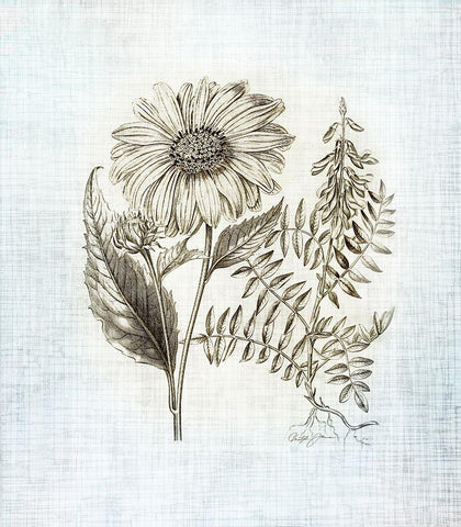 Farmhouse Botanical 3 White Modern Wood Framed Art Print with Double Matting by James, Christopher