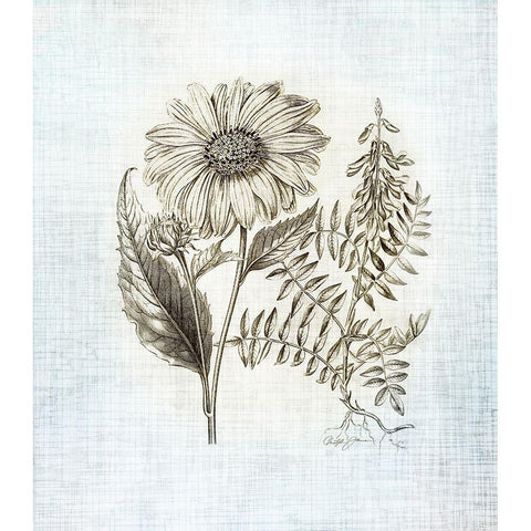 Farmhouse Botanical 3 White Modern Wood Framed Art Print by James, Christopher
