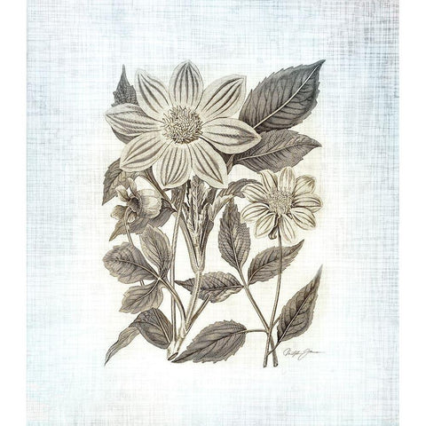 Farmhouse Botanical 4 White Modern Wood Framed Art Print by James, Christopher