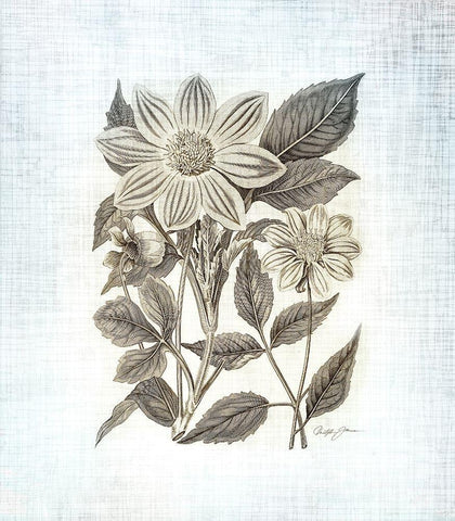 Farmhouse Botanical 4 White Modern Wood Framed Art Print with Double Matting by James, Christopher