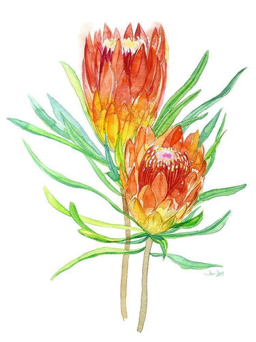 Tropical Blossoming White Modern Wood Framed Art Print with Double Matting by Jing, Jin