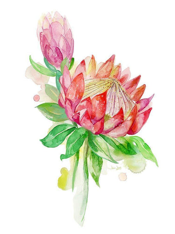 Tropical Blooming White Modern Wood Framed Art Print with Double Matting by Jing, Jin