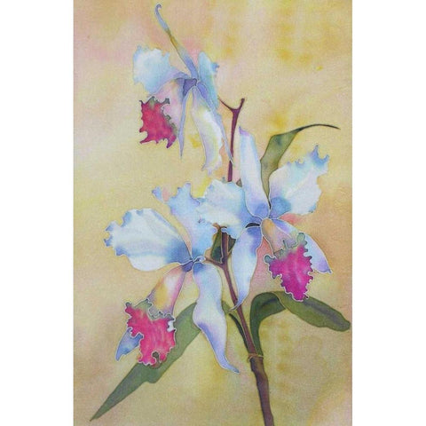Floral White Modern Wood Framed Art Print by Mayskaya, Alisa