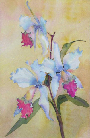 Floral White Modern Wood Framed Art Print with Double Matting by Mayskaya, Alisa