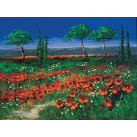 Field of primroses White Modern Wood Framed Art Print by Paleta, Anna