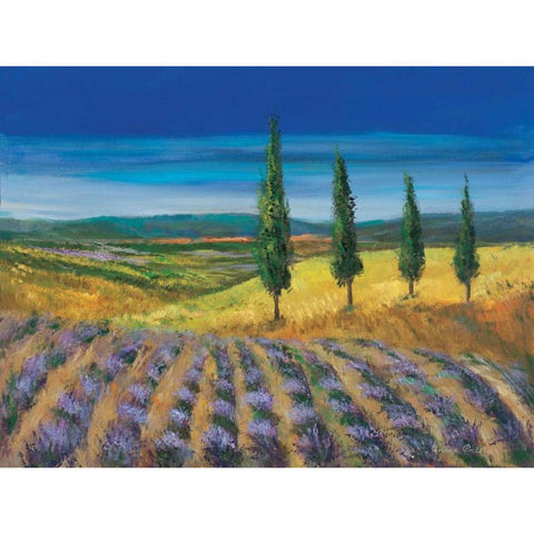 Field of lavender White Modern Wood Framed Art Print by Paleta, Anna