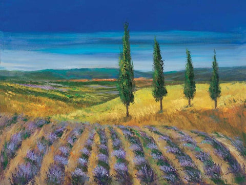Field of lavender White Modern Wood Framed Art Print with Double Matting by Paleta, Anna