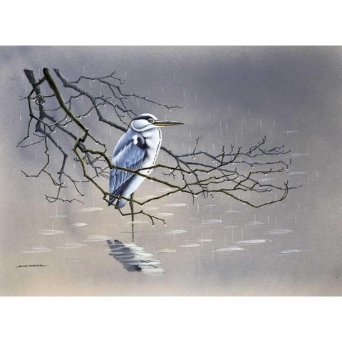 Birdy I White Modern Wood Framed Art Print by Weenink, Ruud