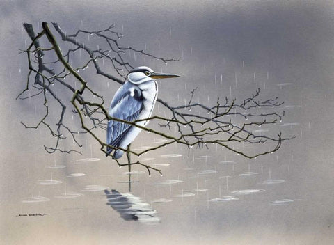 Birdy I White Modern Wood Framed Art Print with Double Matting by Weenink, Ruud