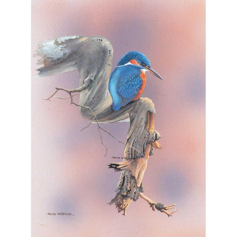 Birdy III White Modern Wood Framed Art Print by Weenink, Ruud