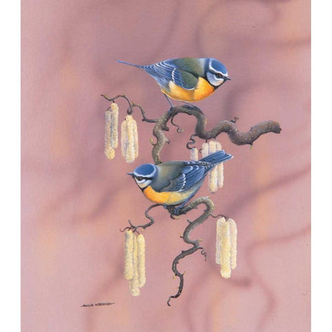 Birdy IV White Modern Wood Framed Art Print by Weenink, Ruud