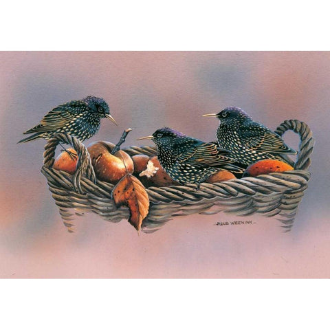 Family birds White Modern Wood Framed Art Print by Weenink, Ruud