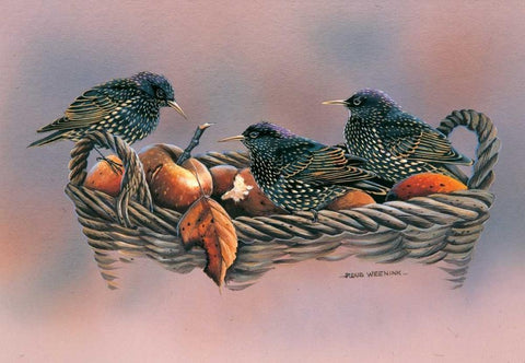 Family birds White Modern Wood Framed Art Print with Double Matting by Weenink, Ruud