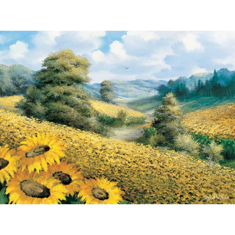 Sunflower hill White Modern Wood Framed Art Print by Withaar, Reint