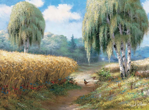 Pheasants White Modern Wood Framed Art Print with Double Matting by Withaar, Reint