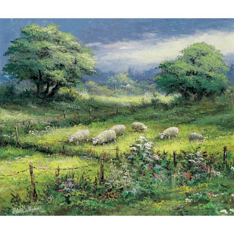 Peaceful sight White Modern Wood Framed Art Print by Withaar, Reint