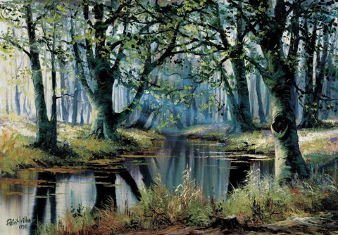 Tranquillity by the trees Black Ornate Wood Framed Art Print with Double Matting by Withaar, Reint