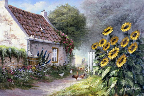 Sunflower  White Modern Wood Framed Art Print with Double Matting by Withaar, Reint