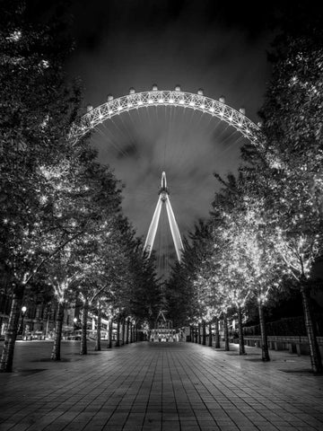 London Eye at night Black Ornate Wood Framed Art Print with Double Matting by Frank, Assaf