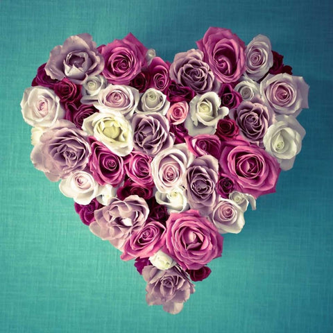 Rose Heart White Modern Wood Framed Art Print by Frank, Assaf