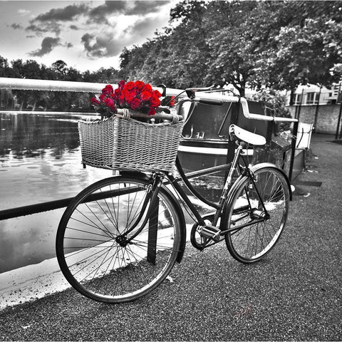 Bicycles with flowers Black Modern Wood Framed Art Print by Frank, Assaf